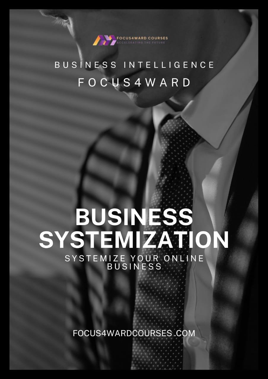 Business Systemization